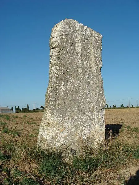 Foto di Menhir dice La Roche Carrée - Pascal Greliche - © Creative Commons (https://creativecommons.org/licenses/by-sa/4.0/deed.fr)