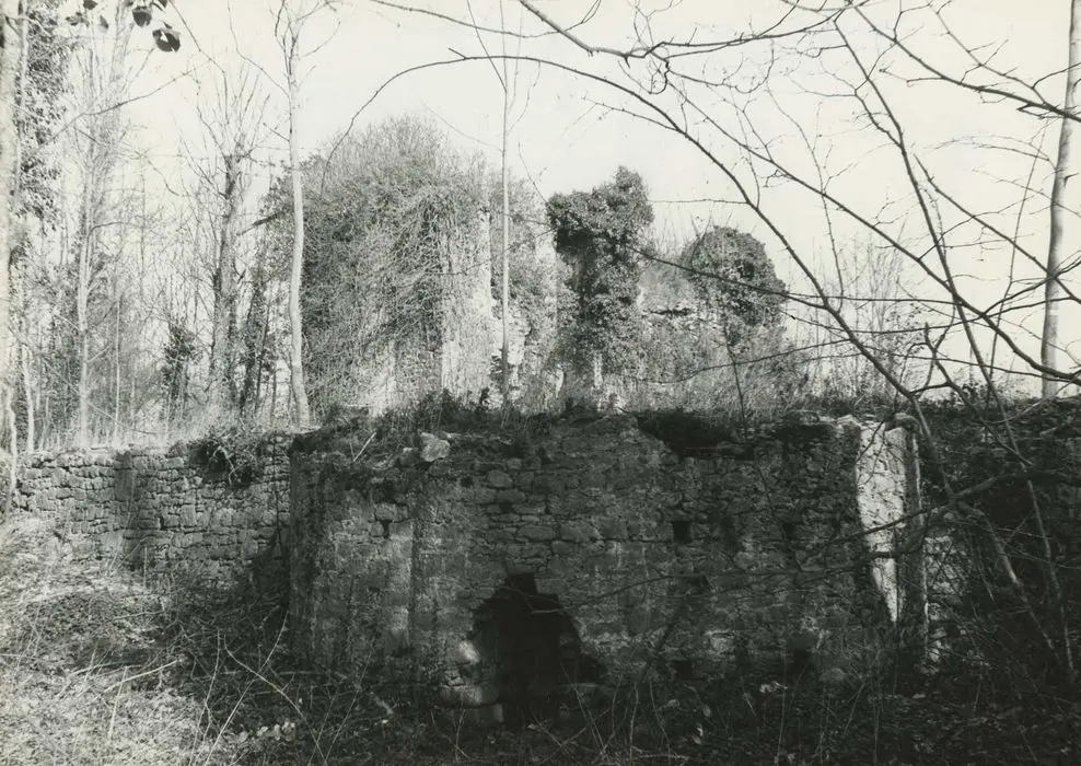 Foto de Ruinas del castillo de Plessis-Bertrand - POP Plateforme Ouverte du Patrimoine / Base Mérimée - © Ministère de la Culture (France), Médiathèque du patrimoine et de la photographie, tous droits réservés
