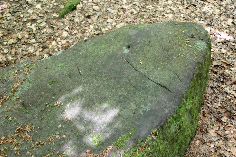 Foto von Megalith, bekannt als Saint-Méen Sandstein - Sous licence Creative Commons (https://creativecommons.org/licenses/by-sa/4.0/deed.fr) - Par Creasy - © Creative Commons (https://creativecommons.org/licenses/by-sa/4.0/deed.fr)