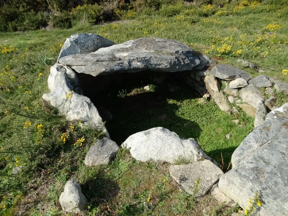 Foto de Dolmen - POP Plateforme Ouverte du Patrimoine / Base Mérimée - © Ministère de la Culture (France), Association Paysages de Mégalithes – Tous droits réservés