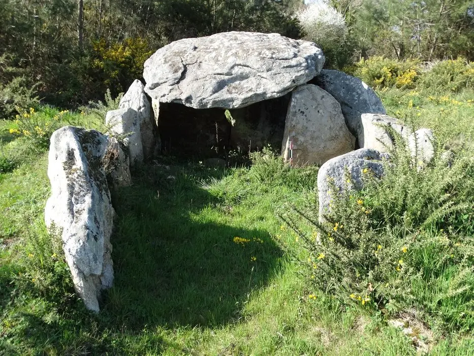 Foto de Dolmen - POP Plateforme Ouverte du Patrimoine / Base Mérimée - © Ministère de la Culture (France), Association Paysages de Mégalithes – Tous droits réservés