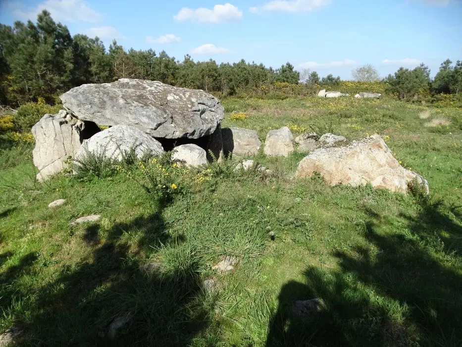 Foto de Dolmen - POP Plateforme Ouverte du Patrimoine / Base Mérimée - © Ministère de la Culture (France), Association Paysages de Mégalithes – Tous droits réservés