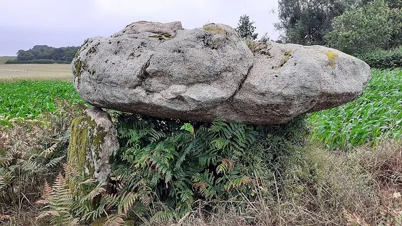 Picture of Kermabon dolmen - LionelRauch - © Creative Commons (https://creativecommons.org/licenses/by-sa/4.0/deed.fr)