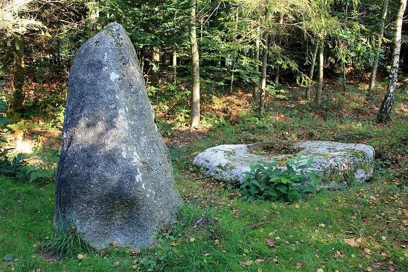 Picture of Alignment of menhirs in the state forest of Floranges - XIIIfromTOKYO - © Creative Commons (https://creativecommons.org/licenses/by-sa/4.0/deed.fr)