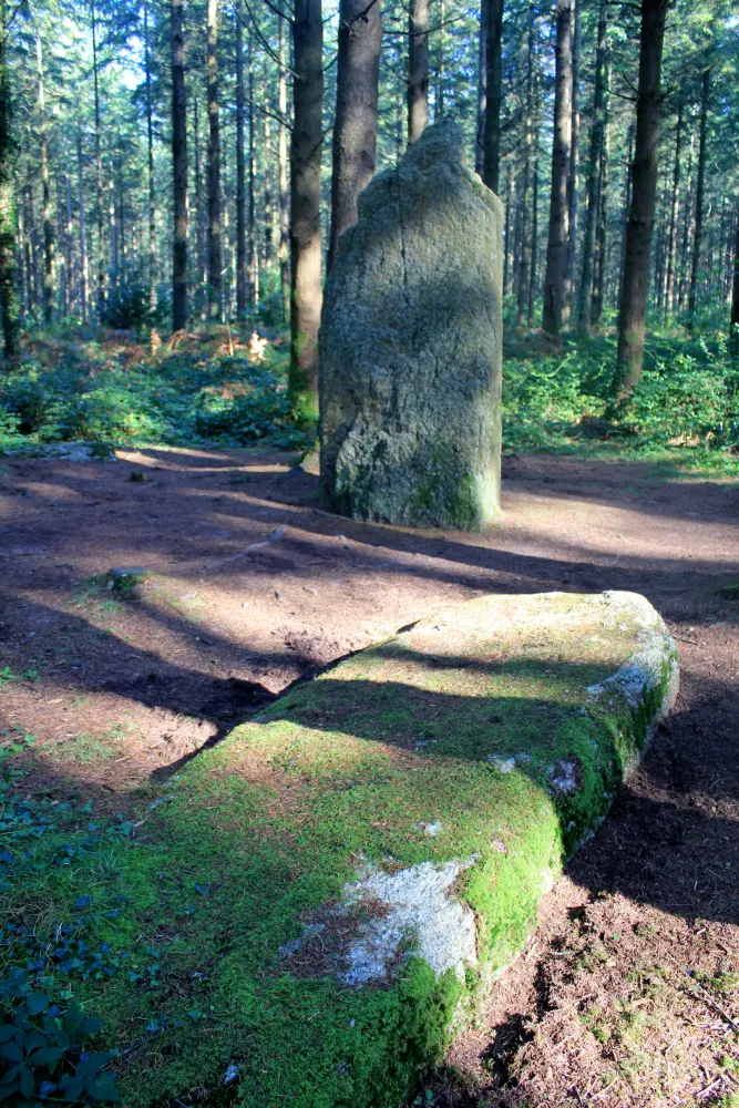 Picture of Two menhirs - Sous licence Creative Commons (https://creativecommons.org/licenses/by-sa/4.0/deed.fr) - Par XIIIfromTOKYO - © Creative Commons (https://creativecommons.org/licenses/by-sa/4.0/deed.fr)
