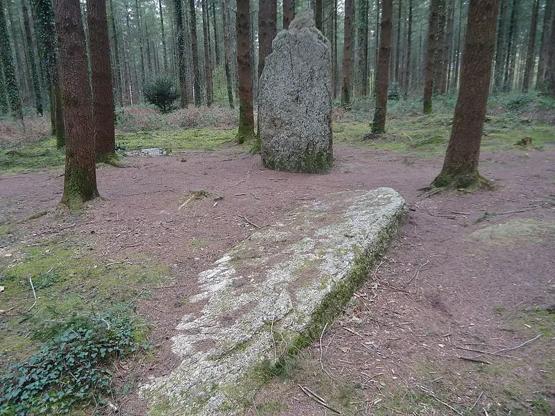 Picture of Two menhirs - Camille56 - © Creative Commons (https://creativecommons.org/licenses/by-sa/4.0/deed.fr)