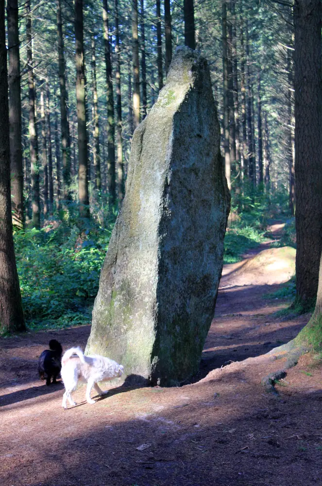Picture of Two menhirs - Sous licence Creative Commons (https://creativecommons.org/licenses/by-sa/4.0/deed.fr) - Par XIIIfromTOKYO - © Creative Commons (https://creativecommons.org/licenses/by-sa/4.0/deed.fr)
