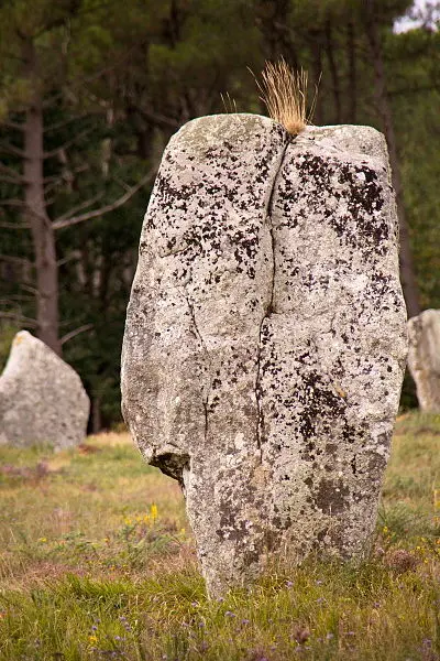 Foto de Alineación de Kerlescan y dolmen - Amadalvarez - © Creative Commons (https://creativecommons.org/licenses/by-sa/4.0/deed.fr)