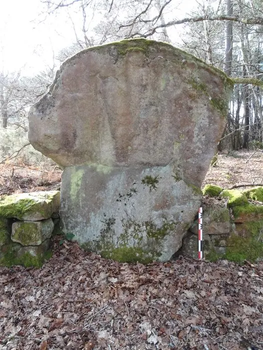 Foto de Cromlech permanece - POP Plateforme Ouverte du Patrimoine / Base Mérimée - © Ministère de la Culture (France), Association Paysages de Mégalithes – Tous droits réservés