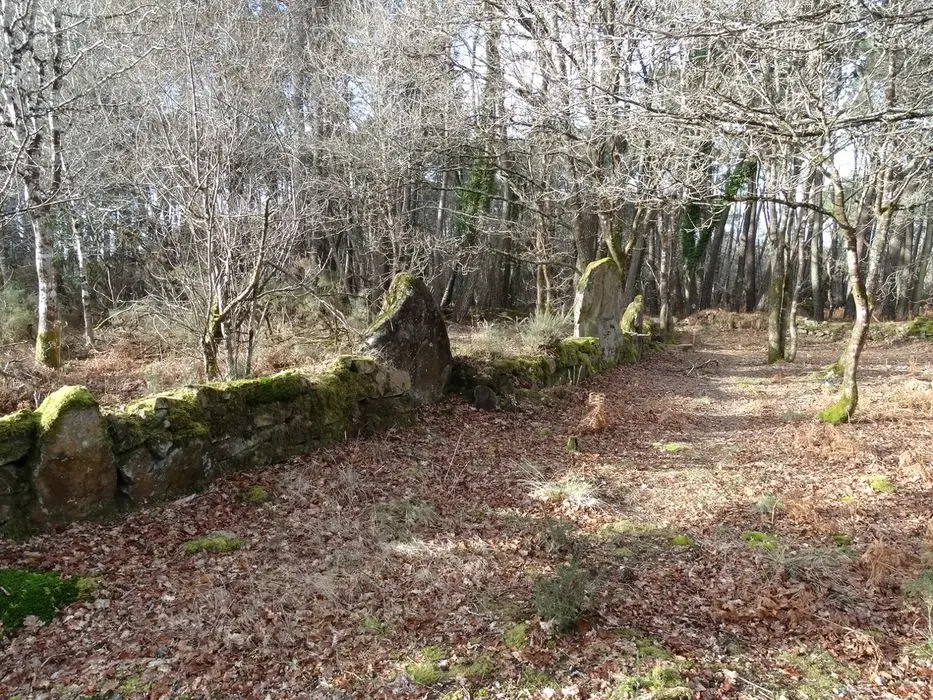 Foto de Cromlech permanece - POP Plateforme Ouverte du Patrimoine / Base Mérimée - © Ministère de la Culture (France), Association Paysages de Mégalithes – Tous droits réservés
