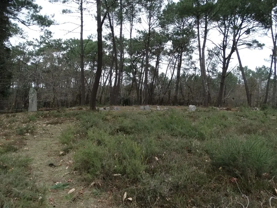 Foto de Cromlech permanece - POP Plateforme Ouverte du Patrimoine / Base Mérimée - © Ministère de la Culture (France), Association Paysages de Mégalithes – Tous droits réservés
