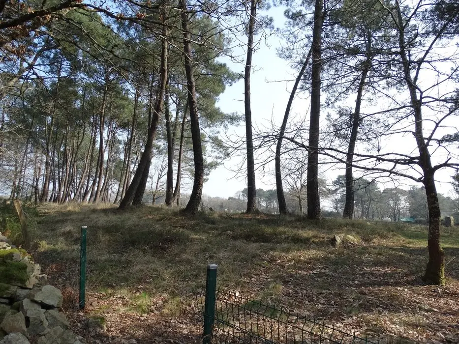 Foto de Cromlech permanece - POP Plateforme Ouverte du Patrimoine / Base Mérimée - © Ministère de la Culture (France), Association Paysages de Mégalithes – Tous droits réservés