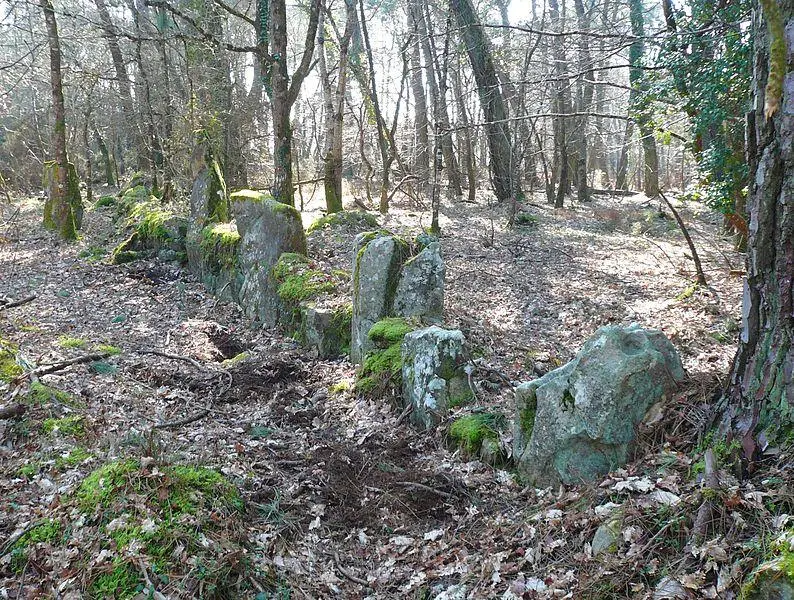 Foto de Cromlech permanece - Yann Gwilhoù - © Creative Commons (https://creativecommons.org/licenses/by-sa/4.0/deed.fr)