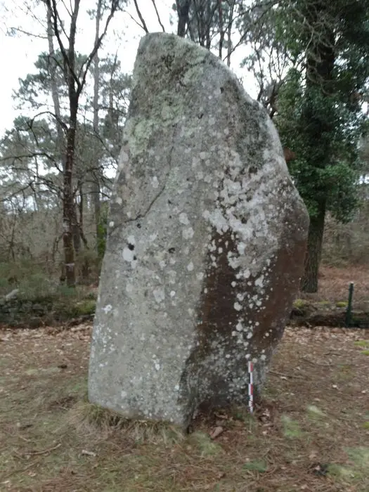 Foto de Cromlech permanece - POP Plateforme Ouverte du Patrimoine / Base Mérimée - © Ministère de la Culture (France), Association Paysages de Mégalithes – Tous droits réservés