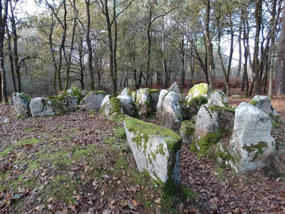Foto di Dolmen di Kluder-Yeur - POP Plateforme Ouverte du Patrimoine / Base Mérimée - © Ministère de la Culture (France), Association Paysages de Mégalithes – Tous droits réservés