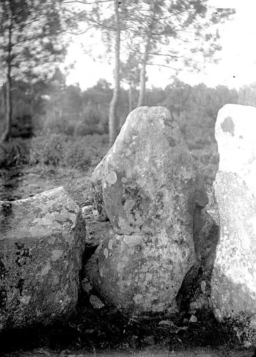 Foto di Dolmen di Kluder-Yeur - POP Plateforme Ouverte du Patrimoine / Base Mérimée - © Ministère de la Culture (France), Médiathèque du patrimoine et de la photographie, diffusion RMN-GP