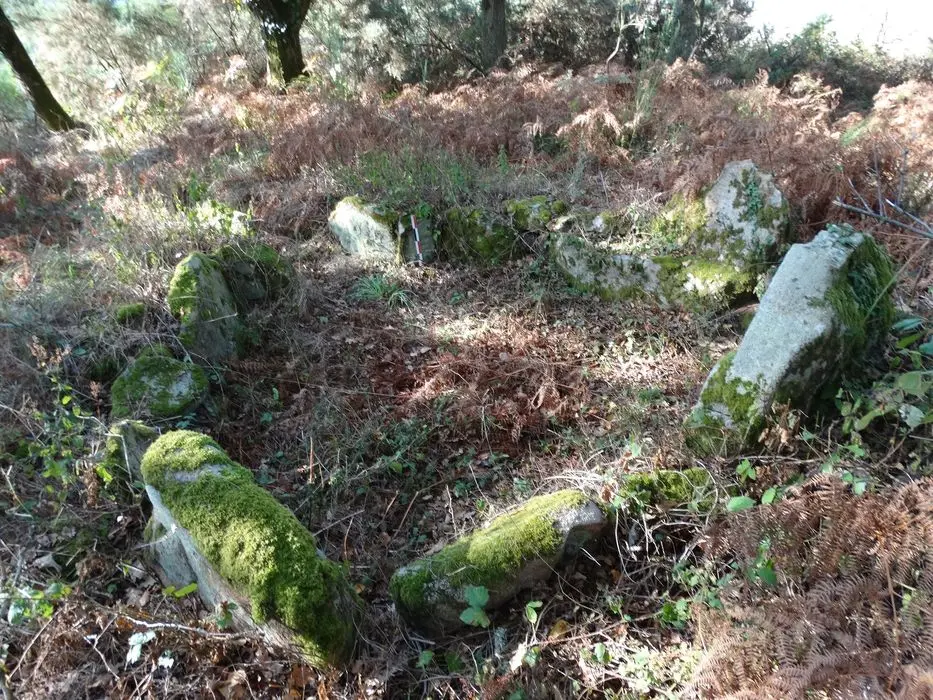 Foto de Dolmen en Galerie de Coët-à-Tous (Mané-Grageux) - POP Plateforme Ouverte du Patrimoine / Base Mérimée - © Ministère de la Culture (France), Association Paysages de Mégalithes – Tous droits réservés