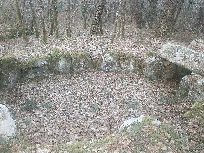 Foto de Dolmen en Galerie de Mané-Brisil - Tsaag Valren - © Creative Commons (https://creativecommons.org/licenses/by-sa/4.0/deed.fr)
