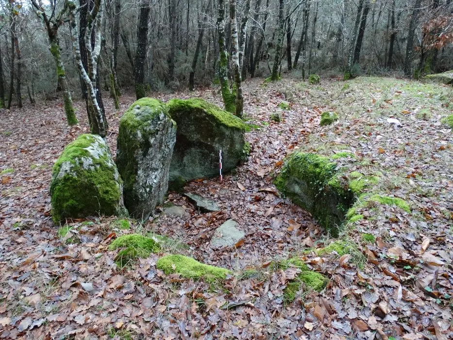 Foto de Dos dolmens en Galerie de Kerlagade - POP Plateforme Ouverte du Patrimoine / Base Mérimée - © Ministère de la Culture (France), Association Paysages de Mégalithes – Tous droits réservés