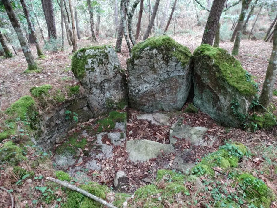 Foto de Dos dolmens en Galerie de Kerlagade - POP Plateforme Ouverte du Patrimoine / Base Mérimée - © Ministère de la Culture (France), Association Paysages de Mégalithes – Tous droits réservés
