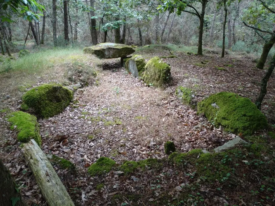 Foto de Dos dolmens en Galerie de Kerlagade - POP Plateforme Ouverte du Patrimoine / Base Mérimée - © Ministère de la Culture (France), Association Paysages de Mégalithes – Tous droits réservés