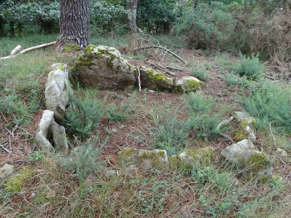 Foto von Dolmen und Menhir - POP Plateforme Ouverte du Patrimoine / Base Mérimée - © Ministère de la Culture (France), Association Paysages de Mégalithes – Tous droits réservés