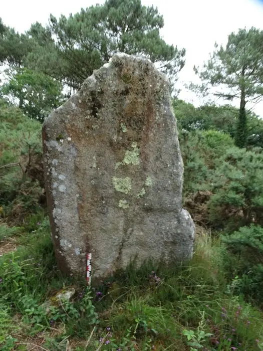 Foto von Dolmen und Menhir - POP Plateforme Ouverte du Patrimoine / Base Mérimée - © Ministère de la Culture (France), Association Paysages de Mégalithes – Tous droits réservés