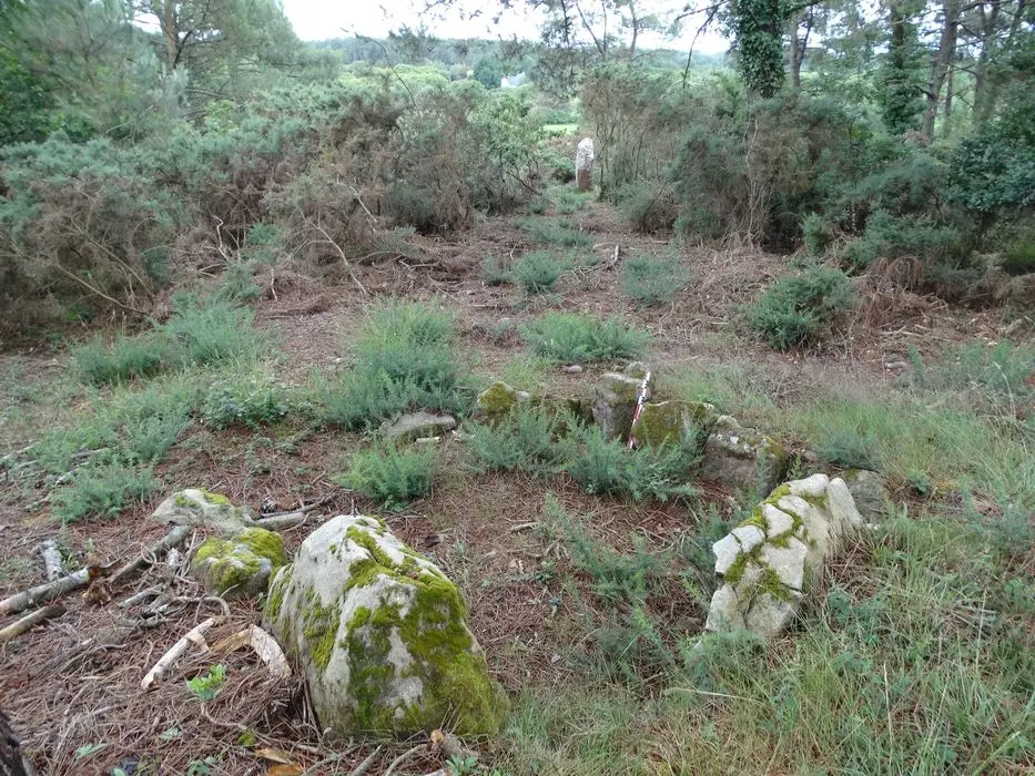 Foto von Dolmen und Menhir - POP Plateforme Ouverte du Patrimoine / Base Mérimée - © Ministère de la Culture (France), Association Paysages de Mégalithes – Tous droits réservés