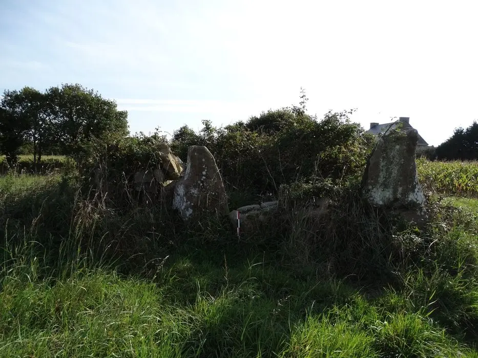 Foto von Erste Dolmen in der Galerie mit der Basis seines Tumulus - POP Plateforme Ouverte du Patrimoine / Base Mérimée - © Ministère de la Culture (France), Association Paysages de Mégalithes – Tous droits réservés