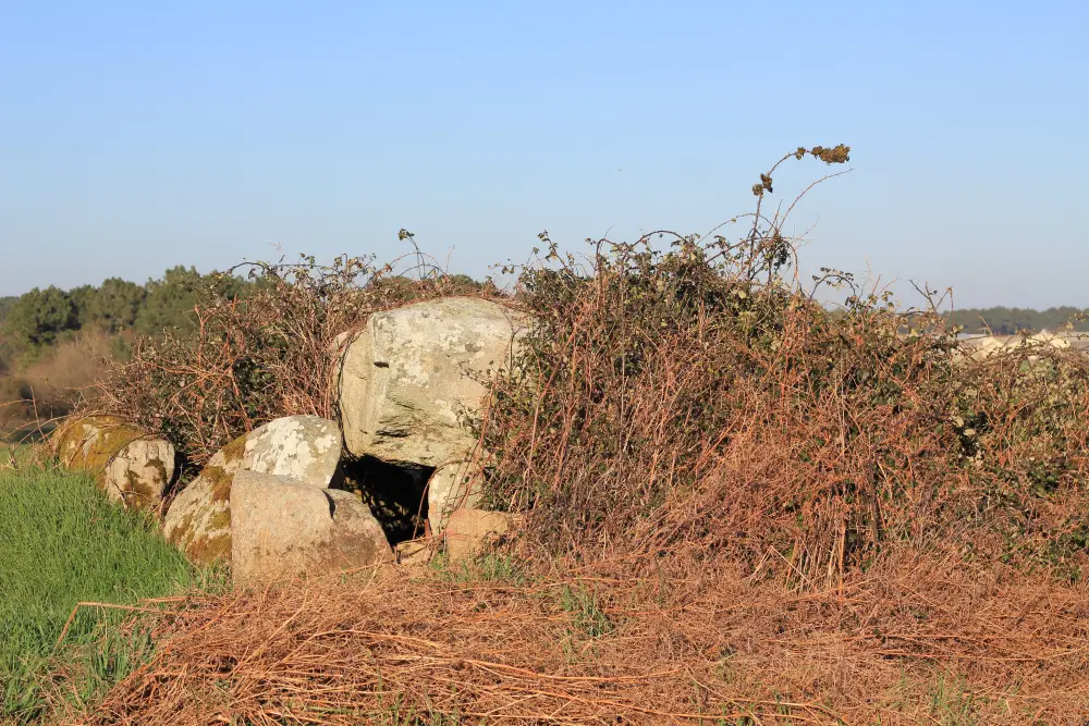 Foto von Erste Dolmen in der Galerie mit der Basis seines Tumulus - Sous licence Creative Commons (https://creativecommons.org/licenses/by-sa/4.0/deed.fr) - Par XIIIfromTOKYO - © Creative Commons (https://creativecommons.org/licenses/by-sa/4.0/deed.fr)