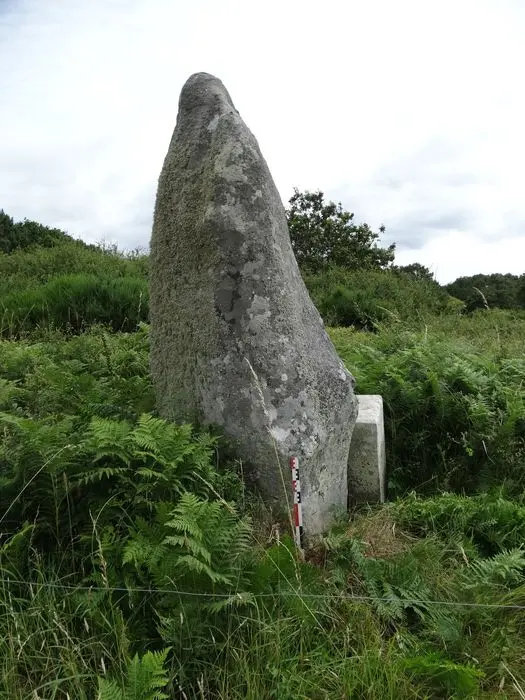 Foto de Menhir de crifol - POP Plateforme Ouverte du Patrimoine / Base Mérimée - © Ministère de la Culture (France), Association Paysages de Mégalithes – Tous droits réservés
