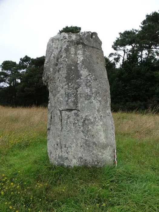 Foto von Kerderff Menhirs - POP Plateforme Ouverte du Patrimoine / Base Mérimée - © Ministère de la Culture (France), Association Paysages de Mégalithes – Tous droits réservés