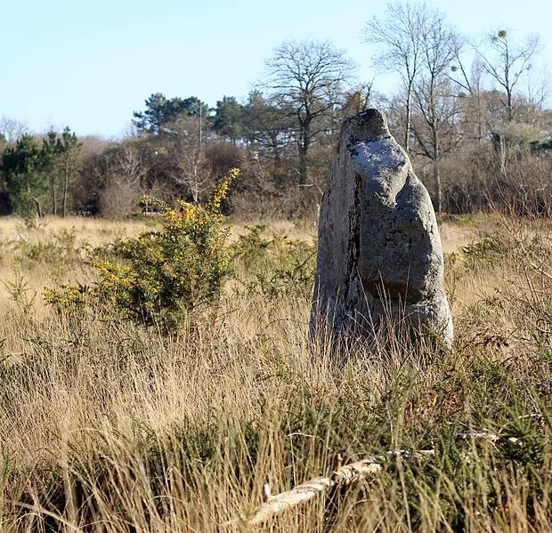 Foto von Kergo Menhir - XIIIfromTOKYO - © Creative Commons (https://creativecommons.org/licenses/by-sa/4.0/deed.fr)