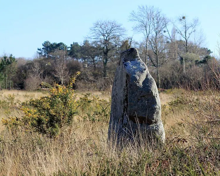 Foto de Kergo menhir - XIIIfromTOKYO - © Creative Commons (https://creativecommons.org/licenses/by-sa/4.0/deed.fr)