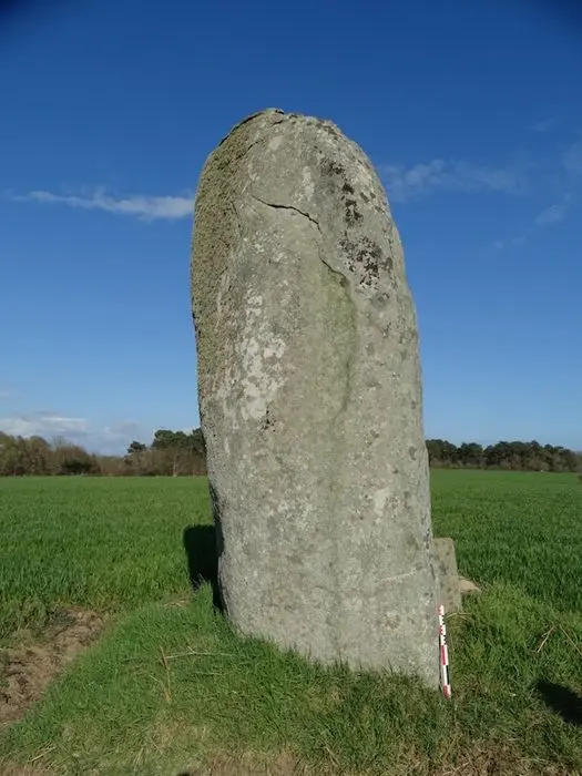 Foto de Kerlagade menhir - POP Plateforme Ouverte du Patrimoine / Base Mérimée - © Ministère de la Culture (France), Association Paysages de Mégalithes – Tous droits réservés