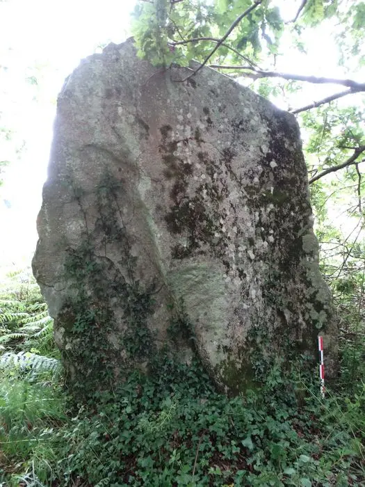 Foto de Menhir dice Rohec - POP Plateforme Ouverte du Patrimoine / Base Mérimée - © Ministère de la Culture (France), Association Paysages de Mégalithes – Tous droits réservés