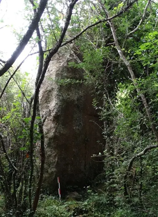 Foto de Dos menhirs - POP Plateforme Ouverte du Patrimoine / Base Mérimée - © Ministère de la Culture (France), Association Paysages de Mégalithes – Tous droits réservés