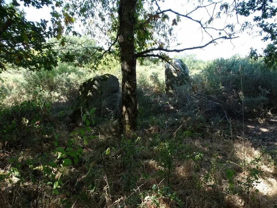 Foto de Dos menhirs alineados - POP Plateforme Ouverte du Patrimoine / Base Mérimée - © Ministère de la Culture (France), Association Paysages de Mégalithes – Tous droits réservés