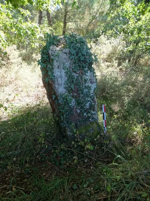 Foto de Tres menhirs alineados - POP Plateforme Ouverte du Patrimoine / Base Mérimée - © Ministère de la Culture (France), Association Paysages de Mégalithes – Tous droits réservés