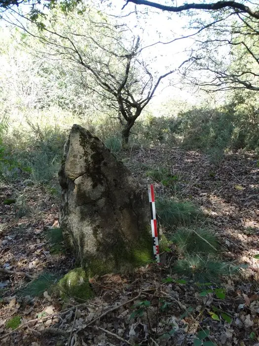 Foto de Cinco menhirs se alinearon - POP Plateforme Ouverte du Patrimoine / Base Mérimée - © Ministère de la Culture (France), Association Paysages de Mégalithes – Tous droits réservés