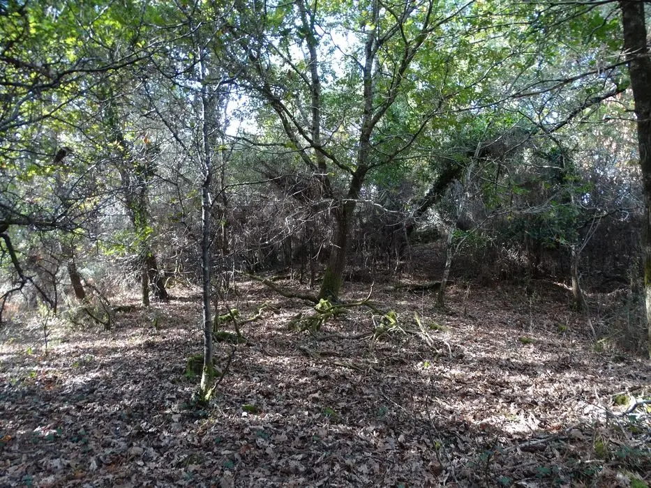 Foto von Tumulus - POP Plateforme Ouverte du Patrimoine / Base Mérimée - © Ministère de la Culture (France), Association Paysages de Mégalithes – Tous droits réservés
