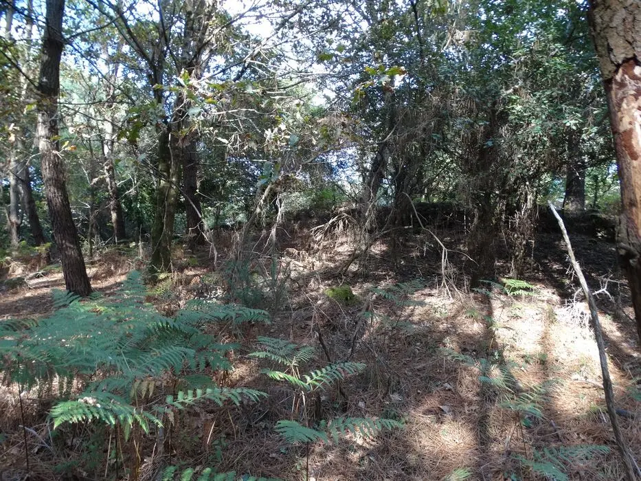 Foto von Tumulus - POP Plateforme Ouverte du Patrimoine / Base Mérimée - © Ministère de la Culture (France), Association Paysages de Mégalithes – Tous droits réservés