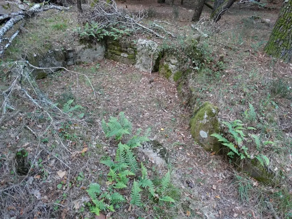 Foto di Double Dolmen Tumulus chiamato er-voten-de-mané-lavarec - POP Plateforme Ouverte du Patrimoine / Base Mérimée - © Ministère de la Culture (France), Association Paysages de Mégalithes – Tous droits réservés