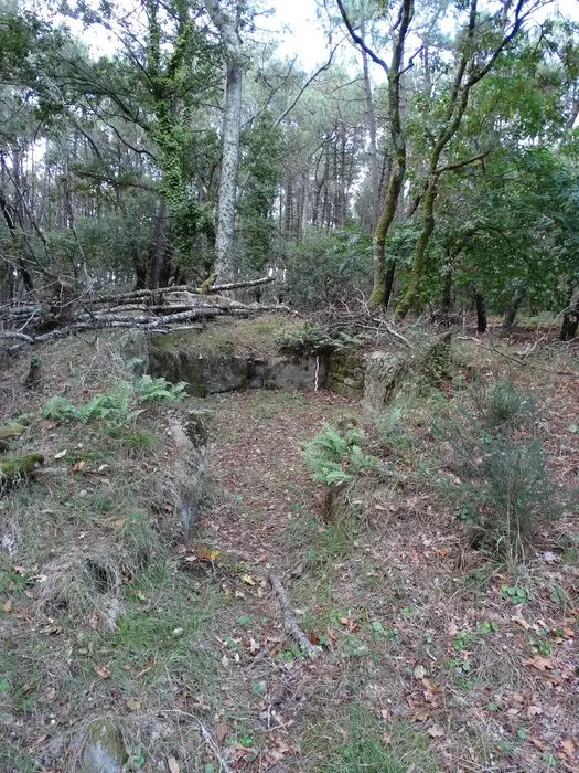 Foto di Double Dolmen Tumulus chiamato er-voten-de-mané-lavarec - POP Plateforme Ouverte du Patrimoine / Base Mérimée - © Ministère de la Culture (France), Association Paysages de Mégalithes – Tous droits réservés