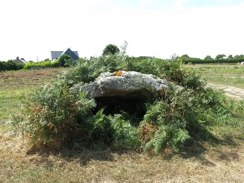 Foto von Dolmen in der Galerie mit den Überresten seines Tumulus - Matthieu Sontag - © Creative Commons (https://creativecommons.org/licenses/by-sa/4.0/deed.fr)