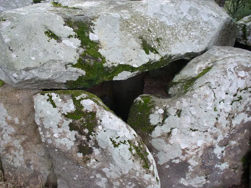 Foto von Dolmen von Mané-Groh - Steffen Heilfort - © Creative Commons (https://creativecommons.org/licenses/by-sa/4.0/deed.fr)