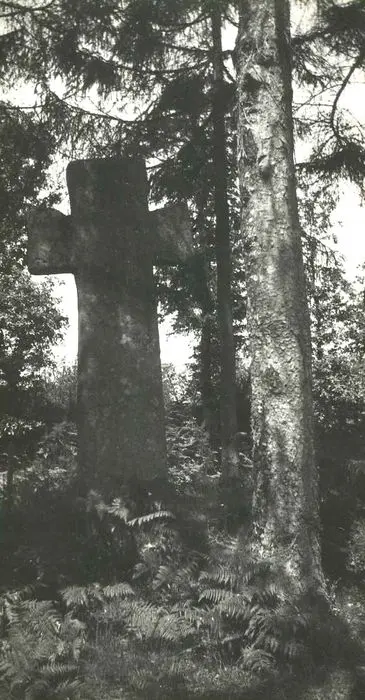 Picture of Monolithic cross in granite, brewed - POP Plateforme Ouverte du Patrimoine / Base Mérimée - © Ministère de la Culture (France), Médiathèque du patrimoine et de la photographie, tous droits réservés