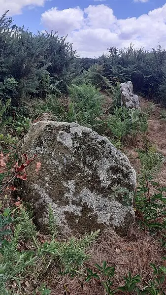 Photo de Allée couverte de Saint-Nizon - LionelRauch - © Creative Commons (https://creativecommons.org/licenses/by-sa/4.0/deed.fr)