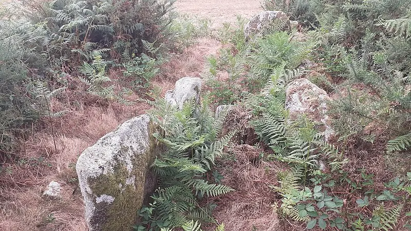 Photo de Allée couverte de Saint-Nizon - LionelRauch - © Creative Commons (https://creativecommons.org/licenses/by-sa/4.0/deed.fr)