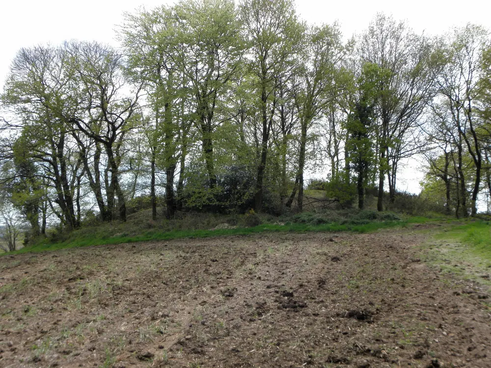 Picture of Tumulus of Saint-Fiacre - Sous licence Creative Commons (https://creativecommons.org/licenses/by-sa/4.0/deed.fr) - Par GO69 - © Creative Commons (https://creativecommons.org/licenses/by-sa/4.0/deed.fr)